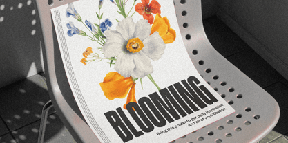 Djingo Font Poster 4