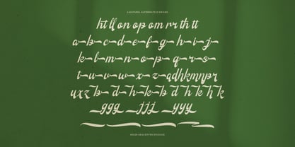 Qalliony Font Poster 12