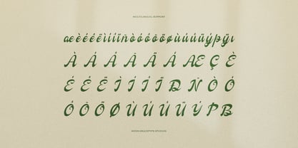 Qalliony Font Poster 11