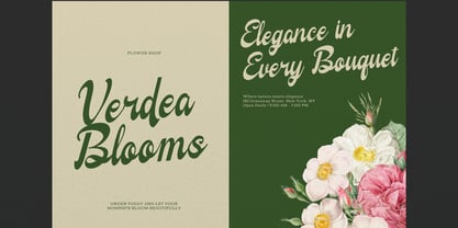 Qalliony Font Poster 4