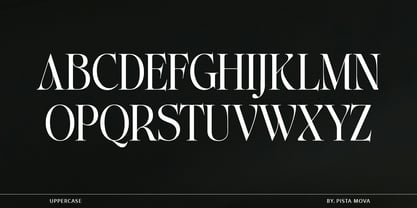 The Ethicly Font Poster 7