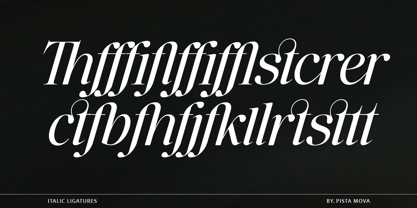 The Ethicly Font Poster 9