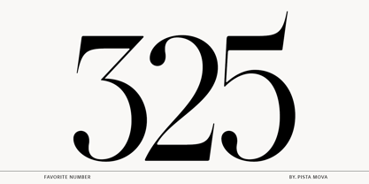 The Ethicly Font Poster 14