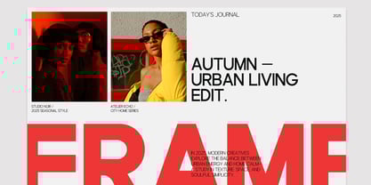 TRT Rusthic Font Poster 13