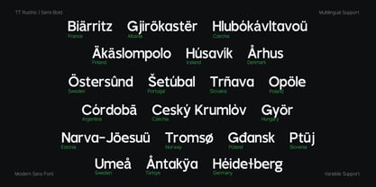 TRT Rusthic Font Poster 14