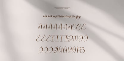 Fortune Messenger Font Poster 11