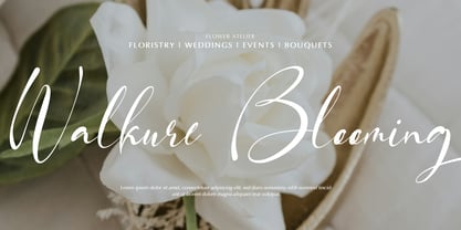 Fortune Messenger Font Poster 2