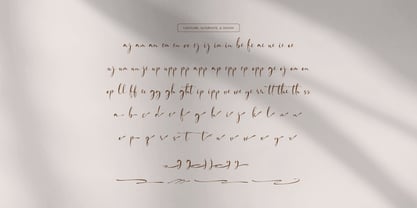 Fortune Messenger Font Poster 12