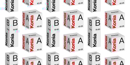 Audit Sans Font Poster 13