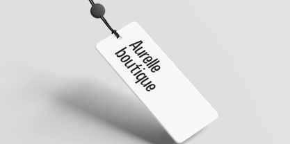 Roxter Display Font Poster 5