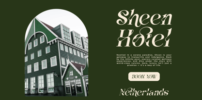 Vanelost Font Poster 10