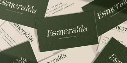 Vanelost Font Poster 2