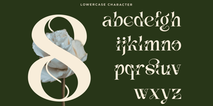 Vanelost Font Poster 12