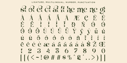 Vanelost Font Poster 13