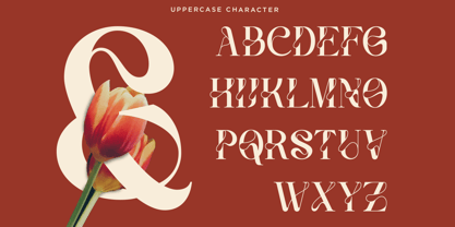Vanelost Font Poster 11