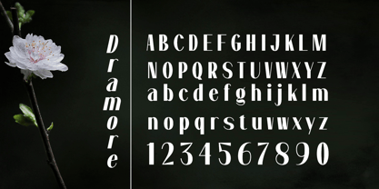 Dramora Font Poster 6