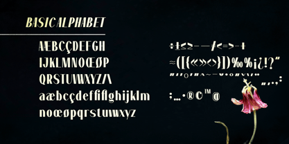 Dramora Font Poster 7