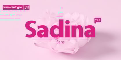 Sadina Sans Font Poster 1