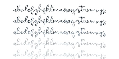 ZP Antique Webbing Font Poster 2