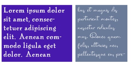 ZP Antique Webbing Font Poster 5