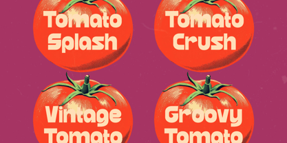 Grand Nights Font Poster 5