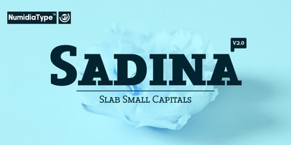Sadina Slab Small CAPS Font Poster 1