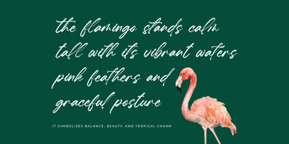 Hugetta Amphals Font Poster 4