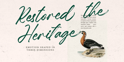 Hugetta Amphals Font Poster 11