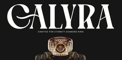 Lux Moon Font Poster 4