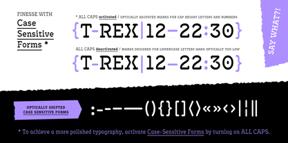 Antypica Font Poster 7