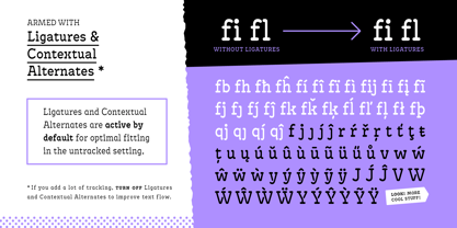 Antypica Font Poster 8