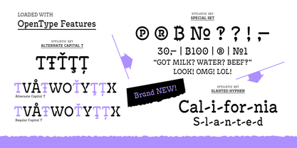 Antypica Font Poster 6