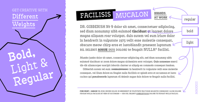 Antypica Font Poster 4