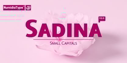 Sadina Small CAPS Font Poster 1