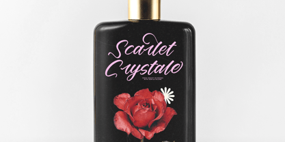 Delighta Font Poster 5