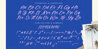 Delighta Font Poster 13