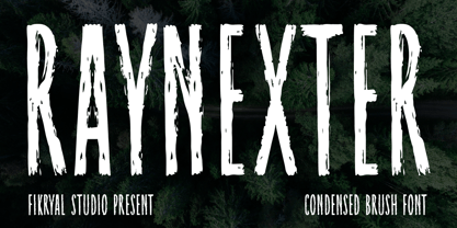 Raynexter Font Poster 1