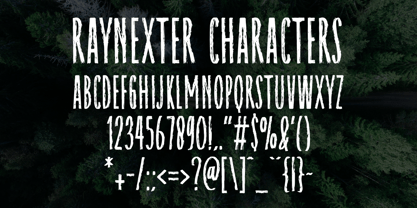 Raynexter Font Poster 11