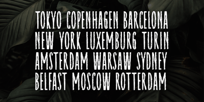 Raynexter Font Poster 10