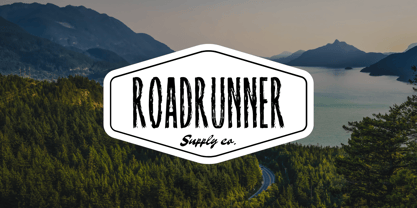 Raynexter Font Poster 7