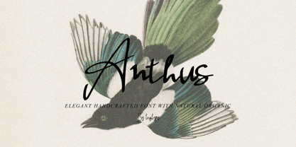 Anthus Signature Font Poster 1