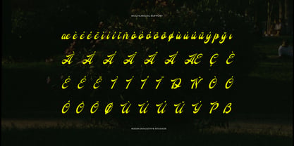 Regarding Wayback Font Poster 11