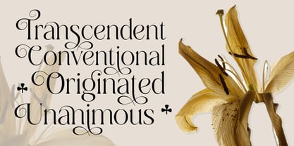 Dobagi Font Poster 2