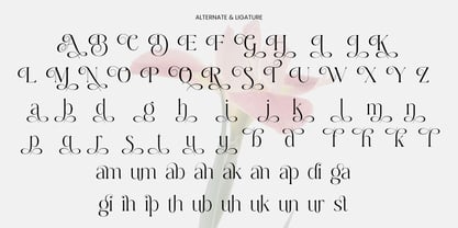 Dobagi Font Poster 9