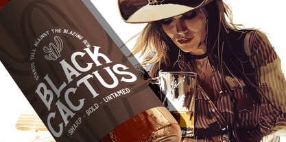 Clear Gulch Font Poster 4