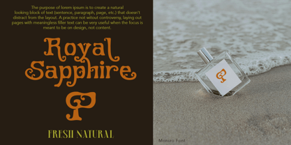 Monizo Font Poster 5