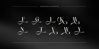 Anikea Font Poster 8