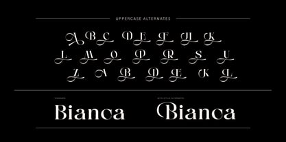Anikea Font Poster 9