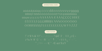 Adisan Richard Font Poster 14