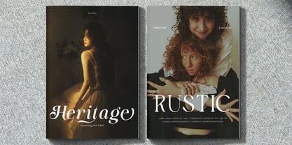 Funky Vintage Font Poster 4